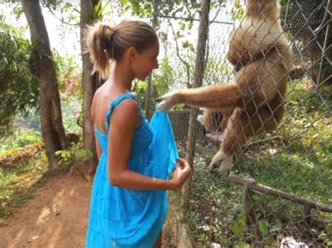 zoo anal|anal Animal Porn Videos